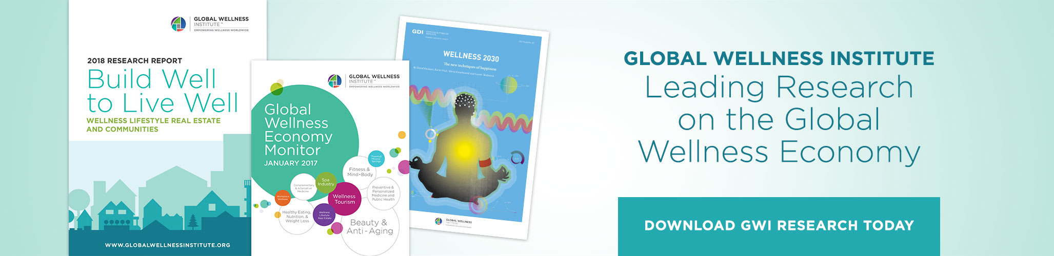 Global Wellness Institute 2024 - Erin Odessa