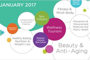 2017 Global Wellness Economy Monitor