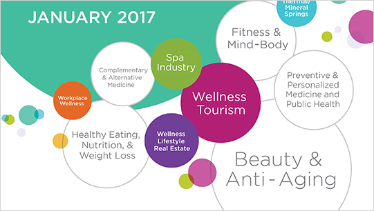 2017 Global Wellness Economy Monitor