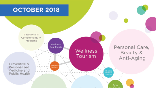 2018 Global Wellness Economy Monitor
