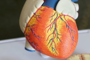 Wellness Evidence Study: Stress Strongly Linked to Heart Disease, Especially For People Under 50