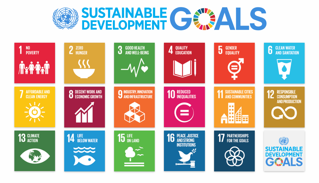 Why Sdg 10 Is Important