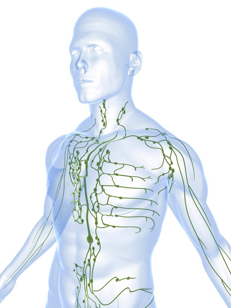 Manual Lymph Drainage - Global Wellness Institute