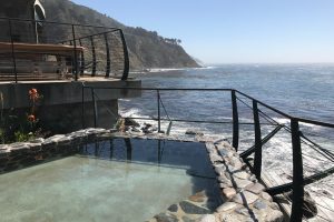Immune Boosting Research and Practices at Hot Springs – COVID-19