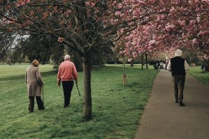 Wellness Evidence Study: Any Daily Activity Lowers Mortality Risk