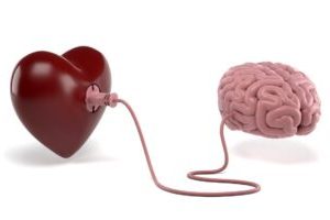 Wellness Evidence Study: Obesity Hurts the Brain