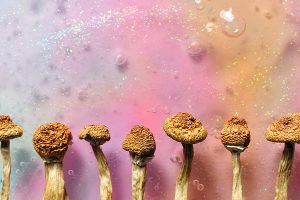 Psilocybin Therapy Spurs Rapid, Sustained Improvement in Depression