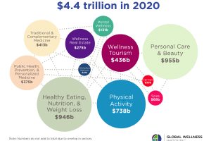 What is the Wellness Economy?