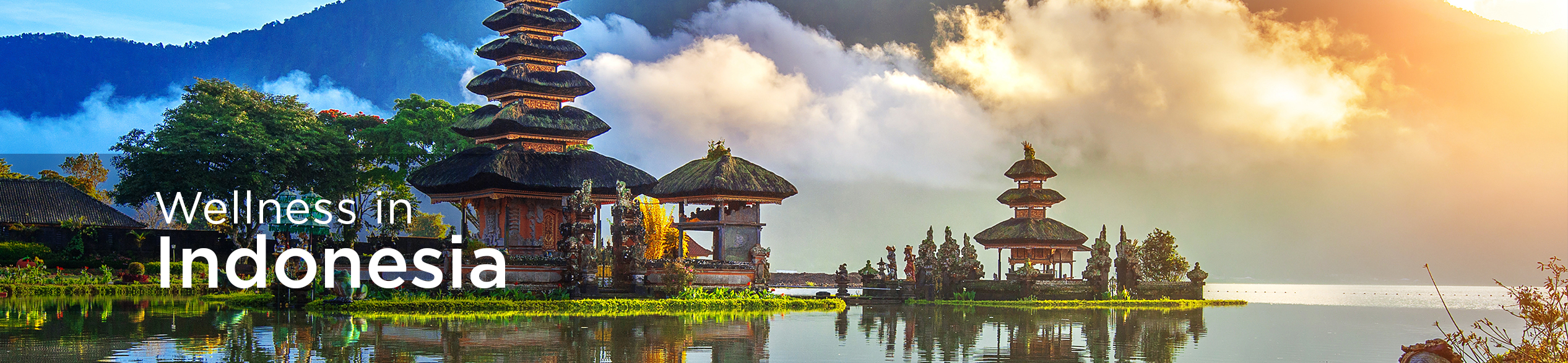 World Tourism Network Gestaltet die Wellness-Agenda auf dem globalen Gipfeltreffen für Medizintourismus an 4 Reise- und Tourismusnachrichten – Global, vertrauenswürdig, unabhängig Bild