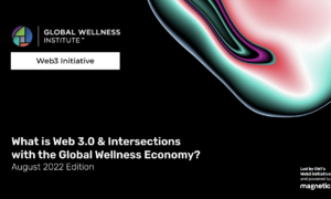 What is Web3 & Intersections with the Global Wellness Economy