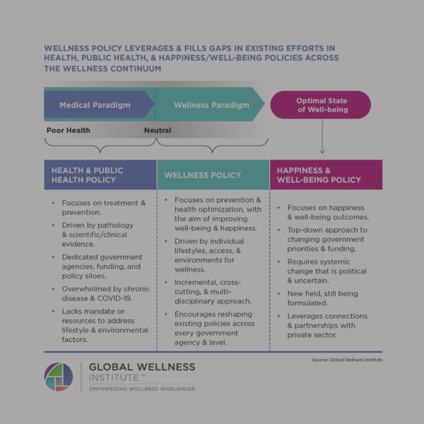Defining Wellness Policy FREE Report Graphics Global Wellness Institute