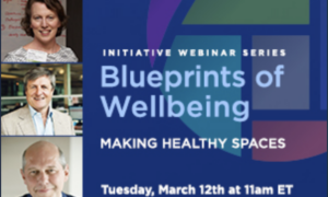 Initiative Webinar Series: Blueprints of Wellbeing