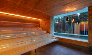 Sauna Users are Happier - Study Shows