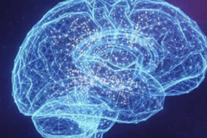 Conscious Breathing Appears to Synchronize Brain and Body Activity | PsyPost by Eric W. Dolan