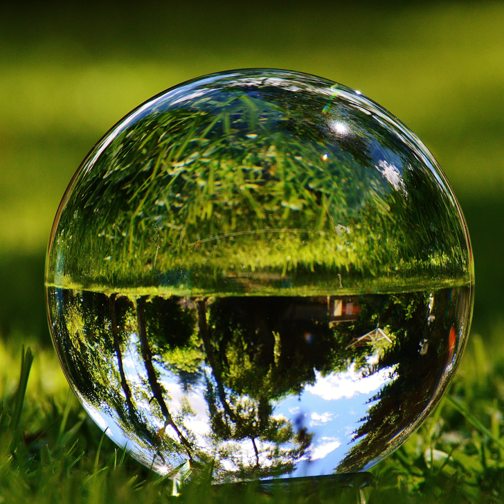 Aesthetic Health Initiative Trends for 2026