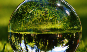 Aesthetic Health Initiative Trends for 2026