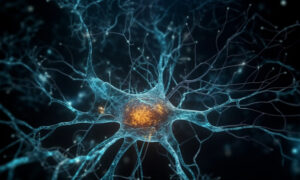 Psychedelics & Healing Initiative Trends for 2026